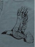 Tshirt-enfant-Aigle-IgloIndi_ELOisBIO-zoom1