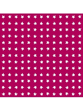 eloisbio-motif étoilé prisci