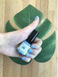 JOLIES MIMINES Myrtille - Vernis Biosourcé