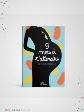 Cahier de grossesse, à remplir, "9 mois à t'attendre"