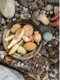 wonders-elements-flore-bois-naturel-jeu-libre-grapat-eloisbio