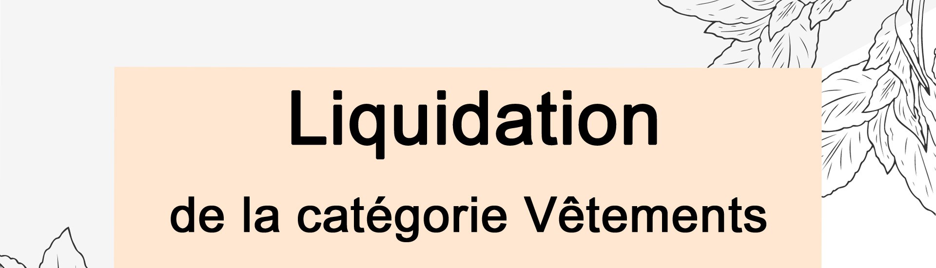 Liquidation vetements